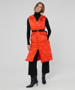 Zirkindhiggins.shop1a99b7aa2b 1