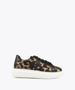 Zirkindhiggins.shop6110ff7451 1