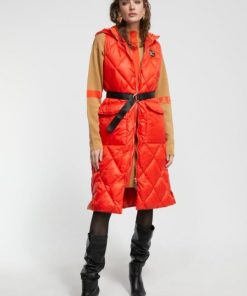 Zirkindhiggins.shop626a0a3365 5